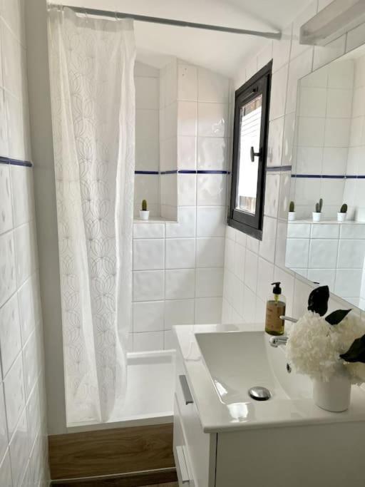 Studio Sous Les Toits Tres Bien Place Et Climatise Montpellier Eksteriør billede