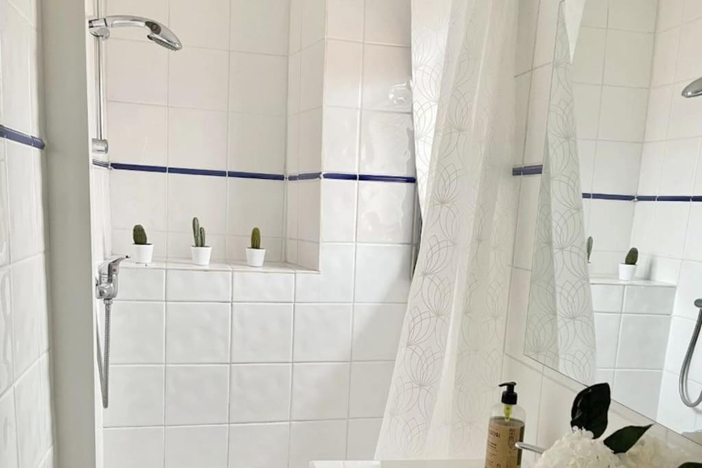 Studio Sous Les Toits Tres Bien Place Et Climatise Montpellier Eksteriør billede